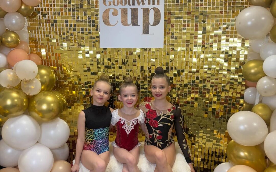 Pohár dobré vůle – Goodwill Cup 2026